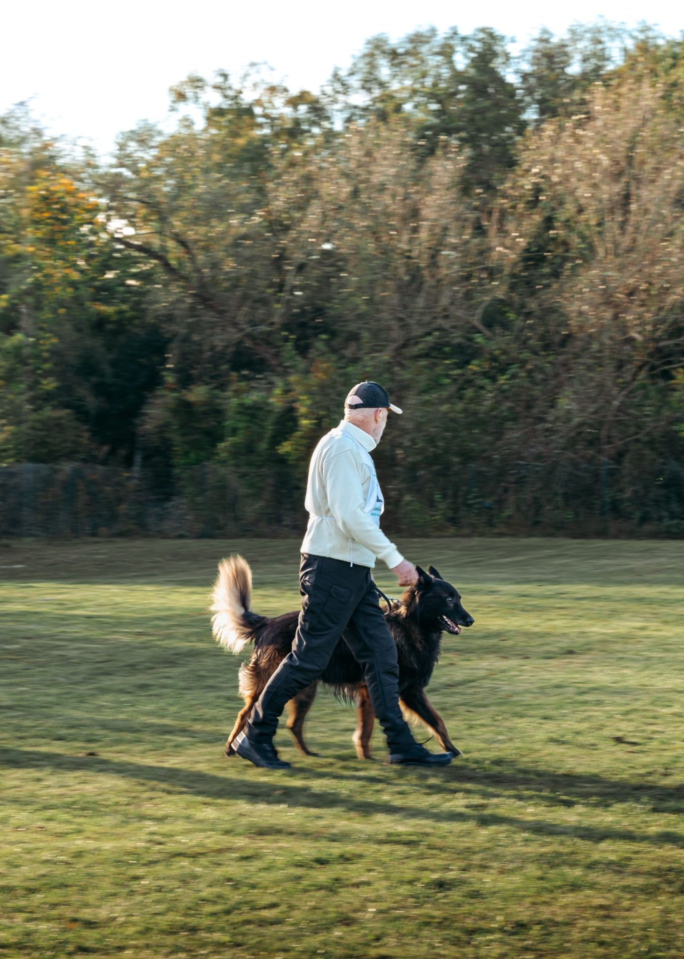 Ein Mann geht mit zwei Hunden auf einer Wiese im Freien.