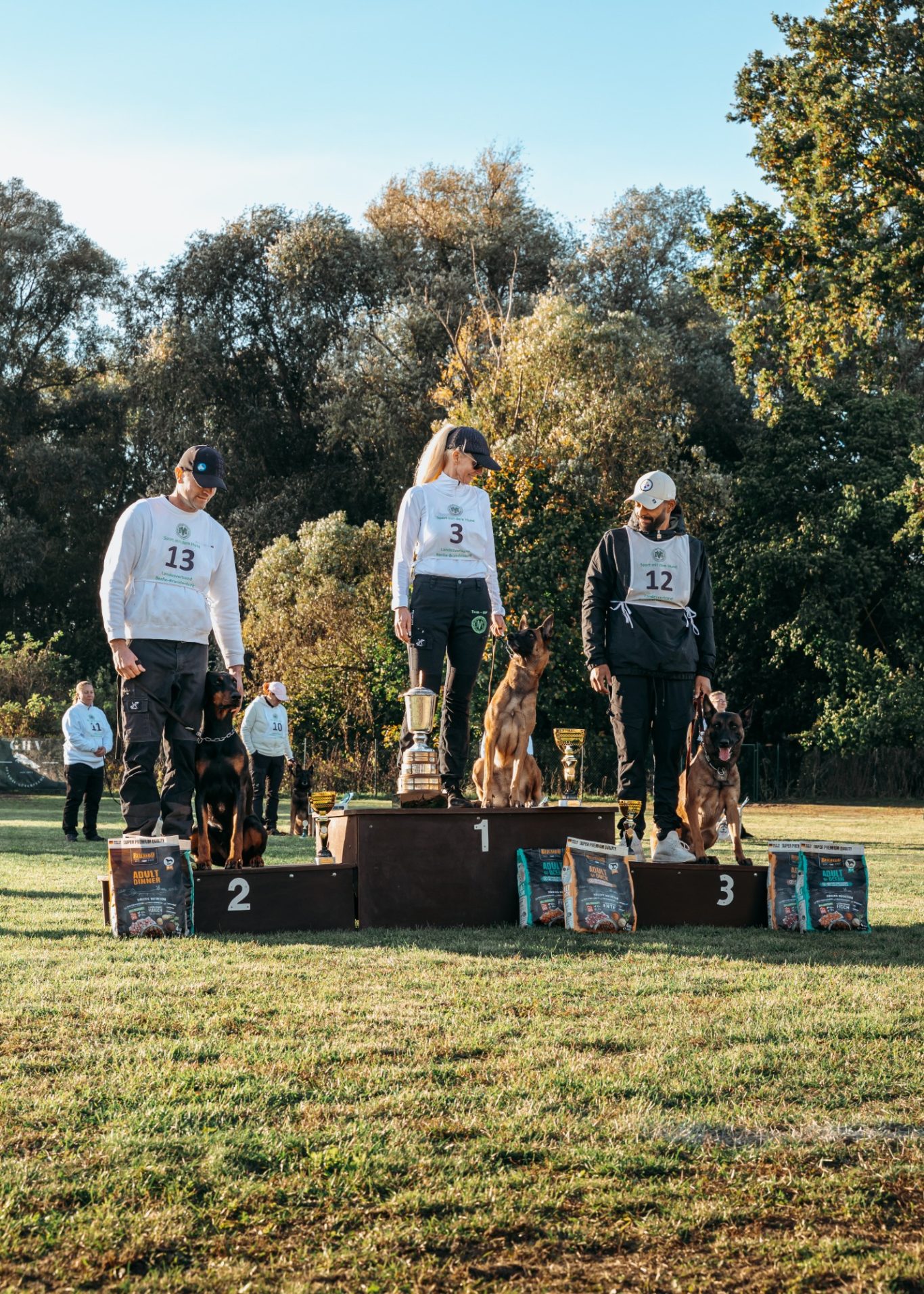 Drei Teilnehmer stehen auf Podesten mit Hunden, bei einer Wettbewerbsszene im Freien.